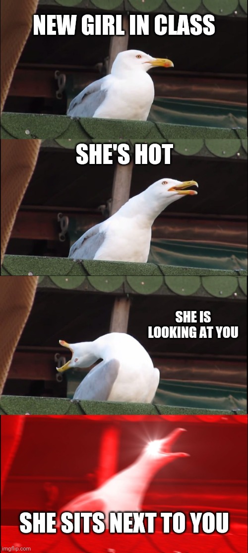 :O | NEW GIRL IN CLASS; SHE'S HOT; SHE IS LOOKING AT YOU; SHE SITS NEXT TO YOU | image tagged in memes,inhaling seagull | made w/ Imgflip meme maker