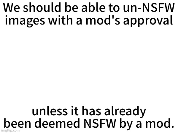 Mostly for when you accedentally mark it NSFW and mods just roll with it | We should be able to un-NSFW images with a mod's approval; unless it has already been deemed NSFW by a mod. | made w/ Imgflip meme maker