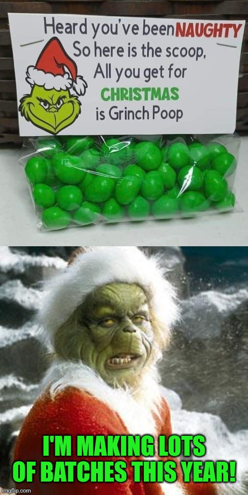 Stink, Stank, Stunk! | I'M MAKING LOTS OF BATCHES THIS YEAR! | image tagged in grinch,poop,christmas,treats,christmas memes | made w/ Imgflip meme maker