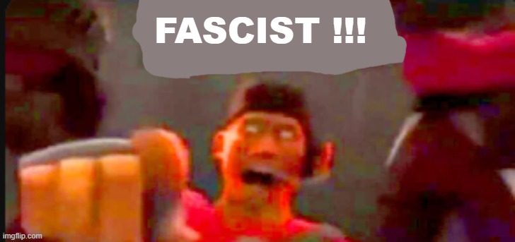 Tf2 scout pointing | FASCIST !!! | image tagged in tf2 scout pointing | made w/ Imgflip meme maker