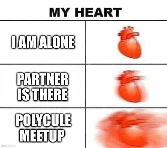 Memes for the polycule 1 | I AM ALONE; PARTNER IS THERE; POLYCULE MEETUP | image tagged in my heart blank | made w/ Imgflip meme maker