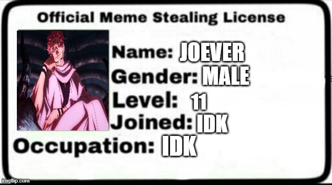 Meme Stealing License | JOEVER; MALE; 11; IDK; IDK | image tagged in meme stealing license | made w/ Imgflip meme maker