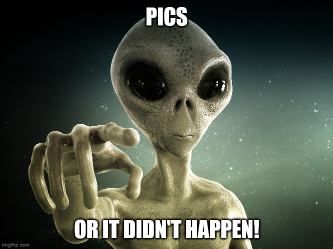 ancient aliens | PICS; OR IT DIDN'T HAPPEN! | image tagged in aliens,ancient aliens | made w/ Imgflip meme maker