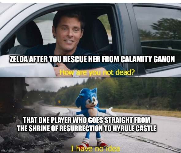 Botw meme....5? Anyway....There are people who do this! whoever you are, GOOD JOB! | ZELDA AFTER YOU RESCUE HER FROM CALAMITY GANON; THAT ONE PLAYER WHO GOES STRAIGHT FROM THE SHRINE OF RESURRECTION TO HYRULE CASTLE | image tagged in sonic how are you not dead | made w/ Imgflip meme maker