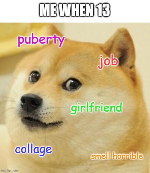 But I like being a kid :( | ME WHEN 13; puberty; job; girlfriend; collage; smell horrible | image tagged in memes,doge | made w/ Imgflip meme maker
