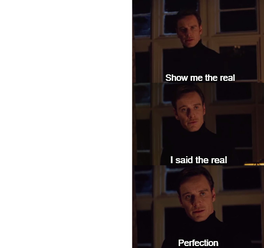 Show me the real perfection Blank Meme Template