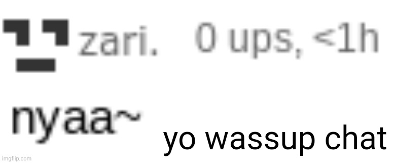 zari nyaa | yo wassup chat | image tagged in zari nyaa | made w/ Imgflip meme maker