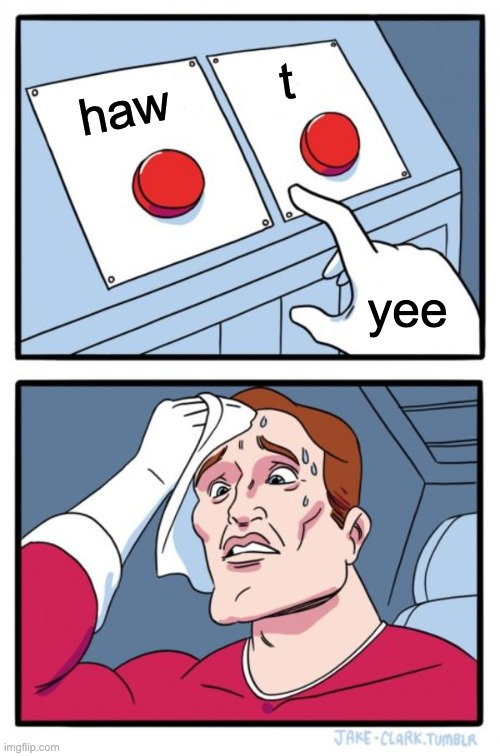 with great decisions come great... decisions??? | t; haw; yee | image tagged in memes,two buttons | made w/ Imgflip meme maker