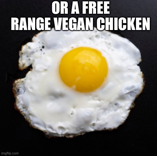 Eggs | OR A FREE RANGE VEGAN CHICKEN | image tagged in eggs | made w/ Imgflip meme maker