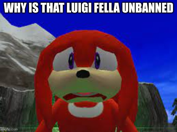 huh?! | WHY IS THAT LUIGI FELLA UNBANNED | image tagged in huh | made w/ Imgflip meme maker
