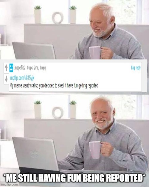 didnt even steal it lmao | *ME STILL HAVING FUN BEING REPORTED* | image tagged in memes,hide the pain harold,funny,funny memes,lmao | made w/ Imgflip meme maker