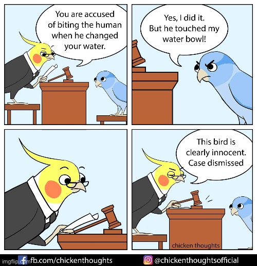 Wow | image tagged in birds | made w/ Imgflip meme maker