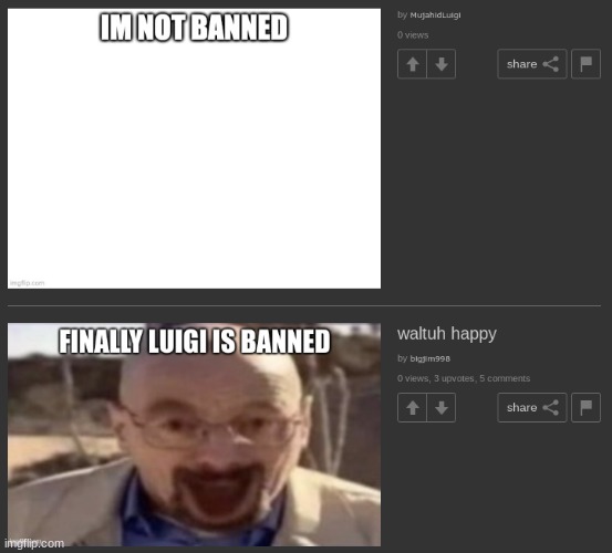 luigi was not banned | image tagged in luigi was not banned | made w/ Imgflip meme maker