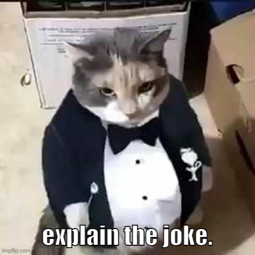 Fatass cat in a tuxedo | explain the joke. | image tagged in fatass cat in a tuxedo | made w/ Imgflip meme maker