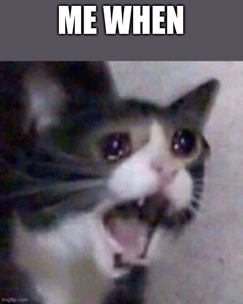 . | ME WHEN | image tagged in screaming cat meme | made w/ Imgflip meme maker