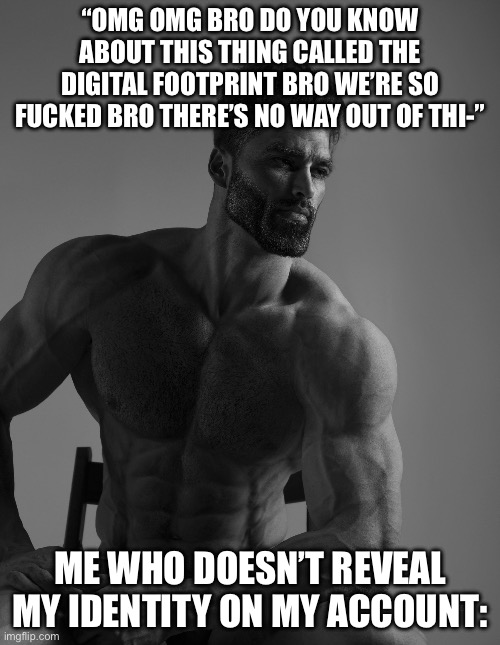 Just do your silliness on an anonymous account, then you should be golden | “OMG OMG BRO DO YOU KNOW ABOUT THIS THING CALLED THE DIGITAL FOOTPRINT BRO WE’RE SO FUСKED BRO THERE’S NO WAY OUT OF THI-”; ME WHO DOESN’T REVEAL MY IDENTITY ON MY ACCOUNT: | image tagged in giga chad | made w/ Imgflip meme maker