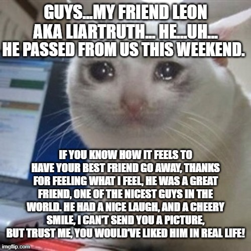 I..i...i'm way too sad to say anything...idk what's going to happen next... | image tagged in crying cat,cancer | made w/ Imgflip meme maker