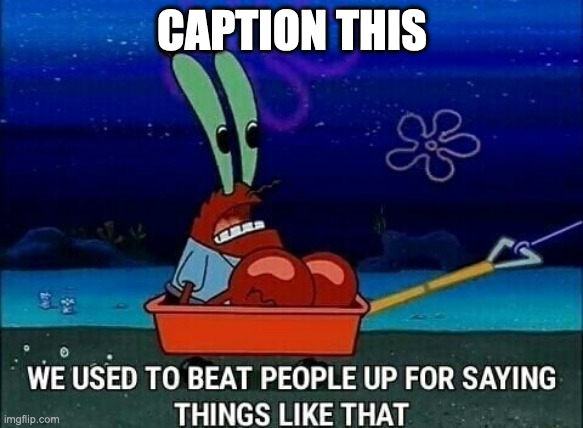 Mr. Krabs We used to beat people up for saying things like that | CAPTION THIS | image tagged in mr krabs we used to beat people up for saying things like that | made w/ Imgflip meme maker