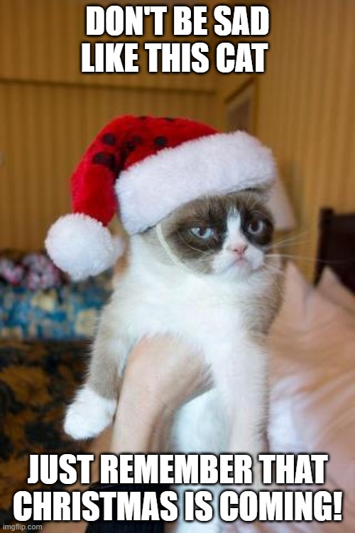 Look at the bright side today and think happy thoughts, it always could be worse. :) | DON'T BE SAD LIKE THIS CAT; JUST REMEMBER THAT CHRISTMAS IS COMING! | image tagged in memes,grumpy cat christmas,grumpy cat,happy,christmas,cat | made w/ Imgflip meme maker
