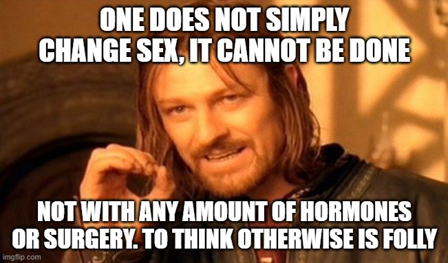 One Does Not Simply Meme | ONE DOES NOT SIMPLY CHANGE SEX, IT CANNOT BE DONE; NOT WITH ANY AMOUNT OF HORMONES OR SURGERY. TO THINK OTHERWISE IS FOLLY | image tagged in memes,one does not simply | made w/ Imgflip meme maker