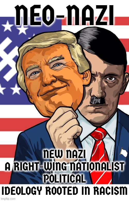 NEO - NAZI | NEO-NAZI; NEW NAZI
A RIGHT-WING NATIONALIST POLITICAL IDEOLOGY ROOTED IN RACISM | image tagged in neo nazi,maga,right wing,republican,nazi,racist | made w/ Imgflip meme maker