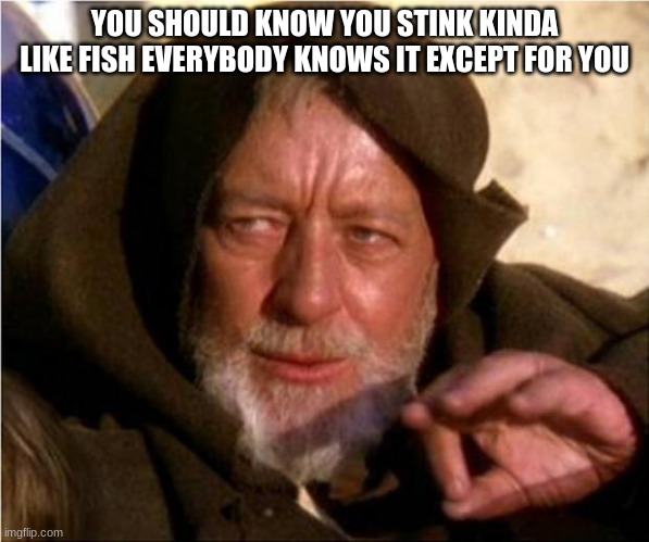 Jedi Mind Trick | YOU SHOULD KNOW YOU STINK KINDA LIKE FISH EVERYBODY KNOWS IT EXCEPT FOR YOU | image tagged in jedi mind trick | made w/ Imgflip meme maker