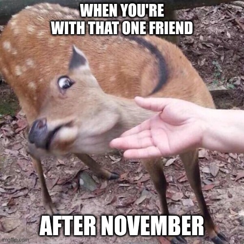 nope | WHEN YOU'RE WITH THAT ONE FRIEND; AFTER NOVEMBER | image tagged in nope | made w/ Imgflip meme maker