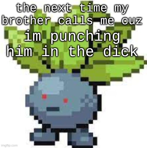 /srs | the next time my brother calls me cuz; im punching him in the dick | image tagged in oddish straight face | made w/ Imgflip meme maker