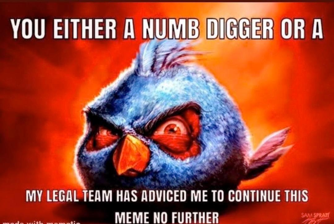 you either a numb digger or a my legal team Blank Meme Template
