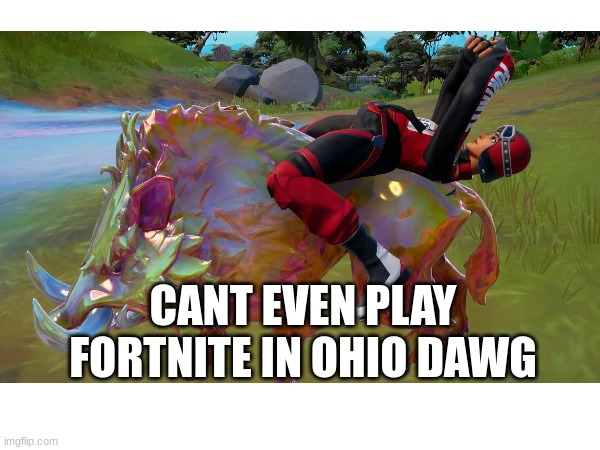 Fortnite in ohio | CANT EVEN PLAY FORTNITE IN OHIO DAWG | image tagged in ohio | made w/ Imgflip meme maker