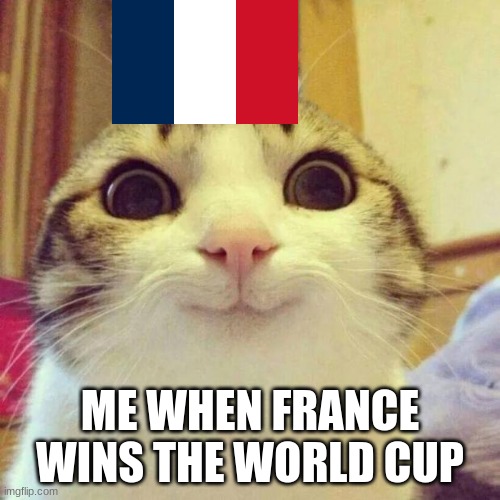 It's supposed to be holding it. | ME WHEN FRANCE WINS THE WORLD CUP | image tagged in memes,smiling cat | made w/ Imgflip meme maker