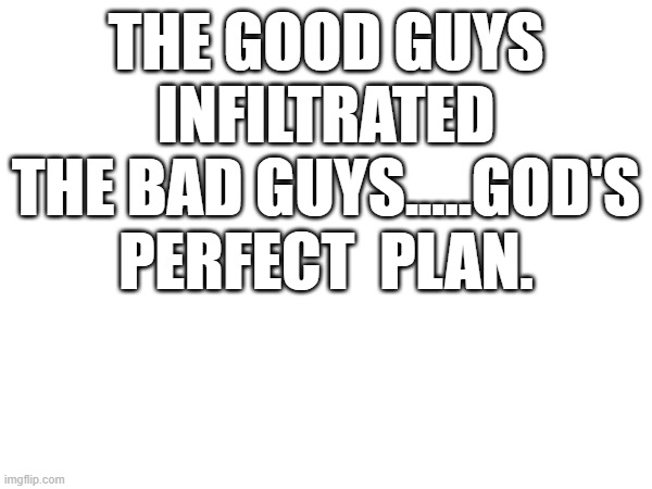 God's perfect plan | THE GOOD GUYS INFILTRATED THE BAD GUYS.....GOD'S PERFECT  PLAN. | image tagged in donald trump | made w/ Imgflip meme maker
