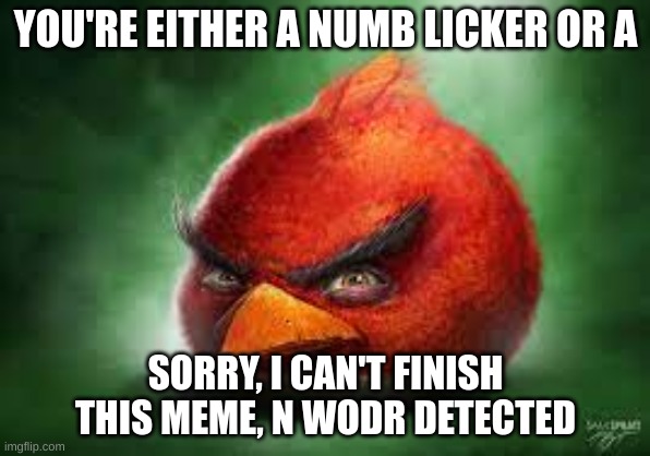 title | YOU'RE EITHER A NUMB LICKER OR A; SORRY, I CAN'T FINISH THIS MEME, N WODR DETECTED | image tagged in realistic red angry birds | made w/ Imgflip meme maker