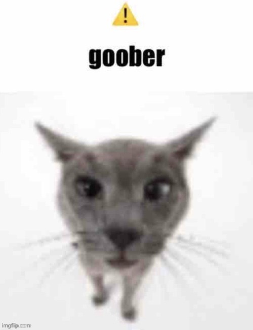spam react the person 5 posts above this one with this image to confuse them | made w/ Imgflip meme maker
