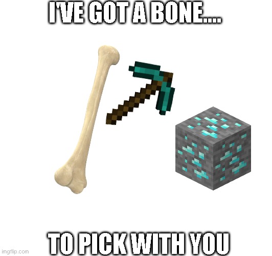 meme | I'VE GOT A BONE.... TO PICK WITH YOU | image tagged in funny memes | made w/ Imgflip meme maker