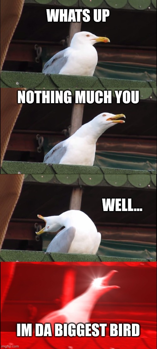Inhaling Seagull Meme | WHATS UP; NOTHING MUCH YOU; WELL... IM DA BIGGEST BIRD | image tagged in memes,inhaling seagull | made w/ Imgflip meme maker