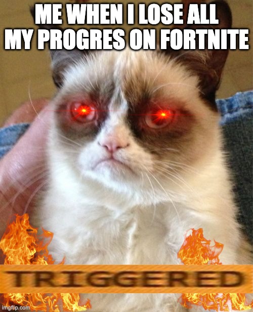 Grumpy Cat | ME WHEN I LOSE ALL MY PROGRES ON FORTNITE | image tagged in memes,grumpy cat | made w/ Imgflip meme maker