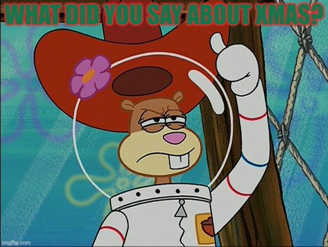 Sandy Cheeks | WHAT DID YOU SAY ABOUT XMAS? | image tagged in sandy cheeks | made w/ Imgflip meme maker