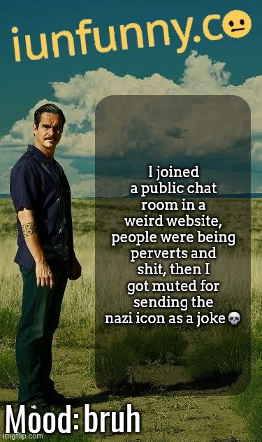 mfs were sexting | I joined a public chat room in a weird website, people were being perverts and shit, then I got muted for sending the nazi icon as a joke💀; bruh | image tagged in iunfunny's lalo salamanca template | made w/ Imgflip meme maker