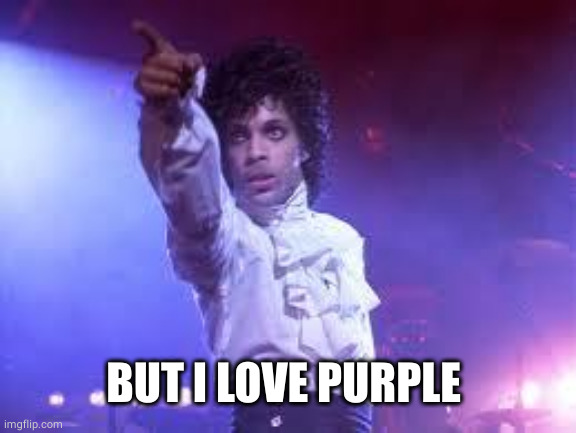 Prince | BUT I LOVE PURPLE | image tagged in prince | made w/ Imgflip meme maker