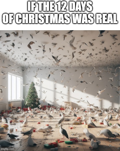 SO MANY BIRDS | IF THE 12 DAYS OF CHRISTMAS WAS REAL | image tagged in 12 days of christmas,so many birds,oh wow are you actually reading these tags,why are you reading the tags | made w/ Imgflip meme maker