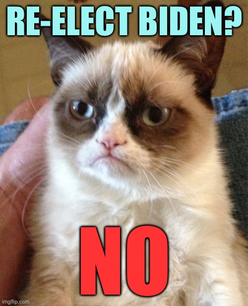 Grumpy Cat | RE-ELECT BIDEN? NO | image tagged in memes,grumpy cat | made w/ Imgflip meme maker