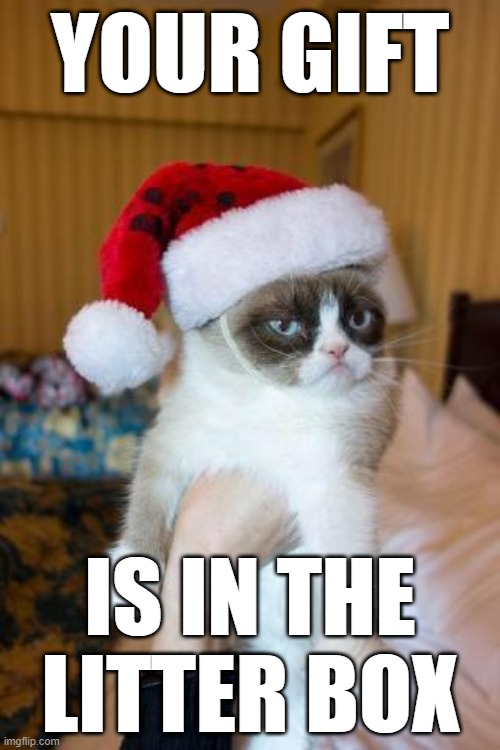 HAPPY CHRISTMAS | YOUR GIFT; IS IN THE LITTER BOX | image tagged in memes,grumpy cat christmas,grumpy cat | made w/ Imgflip meme maker