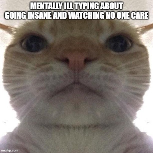 Staring Cat/Gusic | MENTALLY ILL TYPING ABOUT GOING INSANE AND WATCHING NO ONE CARE | image tagged in staring cat/gusic | made w/ Imgflip meme maker