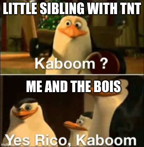 Kaboom? Yes rico kaboom | LITTLE SIBLING WITH TNT; ME AND THE BOIS | image tagged in kaboom yes rico kaboom,tnt,mincraft | made w/ Imgflip meme maker