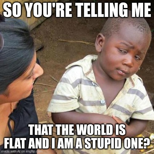 Third World Skeptical Kid | SO YOU'RE TELLING ME; THAT THE WORLD IS FLAT AND I AM A STUPID ONE? | image tagged in memes,third world skeptical kid | made w/ Imgflip meme maker