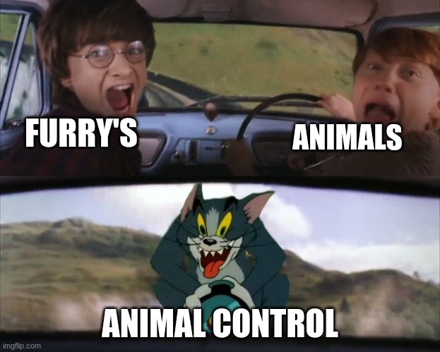 tom and harry potter | FURRY'S; ANIMALS; ANIMAL CONTROL | image tagged in tom and harry potter | made w/ Imgflip meme maker