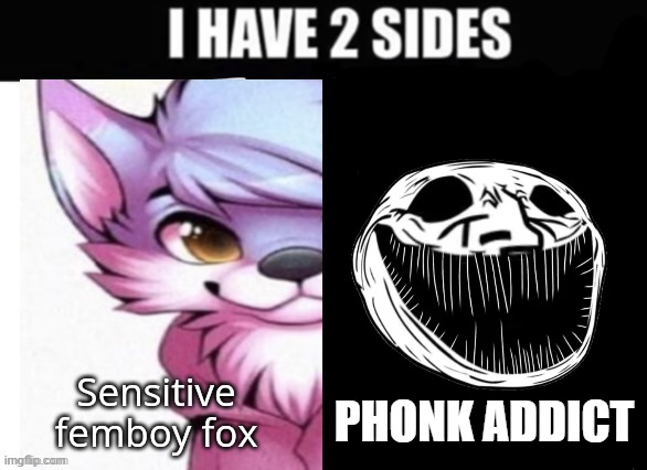 I have 2 sides | PHONK ADDICT | image tagged in i have 2 sides | made w/ Imgflip meme maker