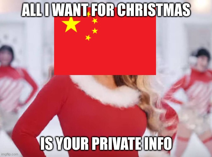 Mariah Carey all I want for Christmas is you | ALL I WANT FOR CHRISTMAS; IS YOUR PRIVATE INFO | image tagged in mariah carey all i want for christmas is you,cute cat,troll,drake hotline bling,gru | made w/ Imgflip meme maker