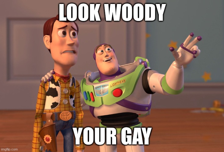 so true though | LOOK WOODY; YOUR GAY | image tagged in memes,x x everywhere | made w/ Imgflip meme maker
